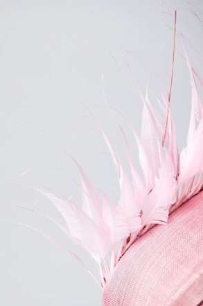 Pink Percher