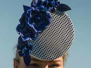 For Rent: Blue and white leather percher