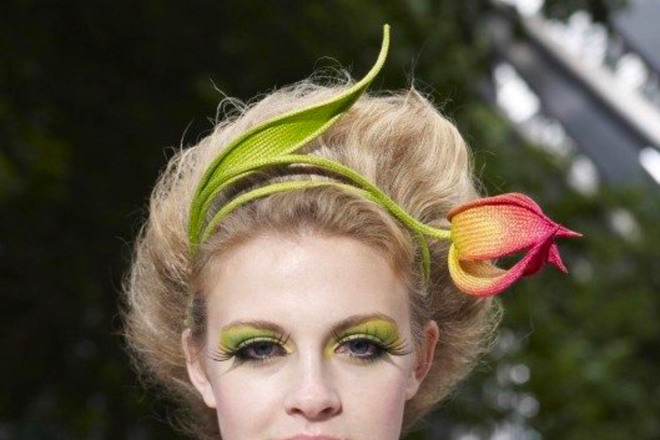“Tulip”  