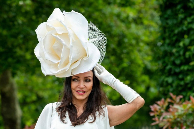 50cm Giant Ivory Rose