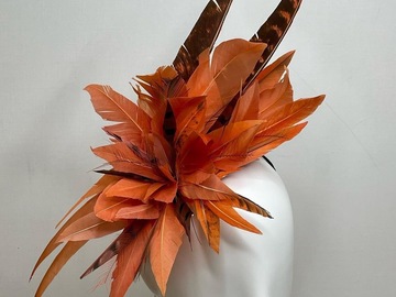 For Sale: Orange Feathers