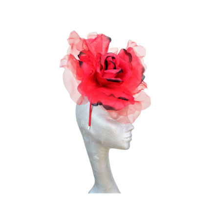 12" Diameter organza silk rose Red & Black Fascinator
