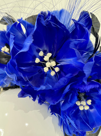 Black and Royal Teardrop