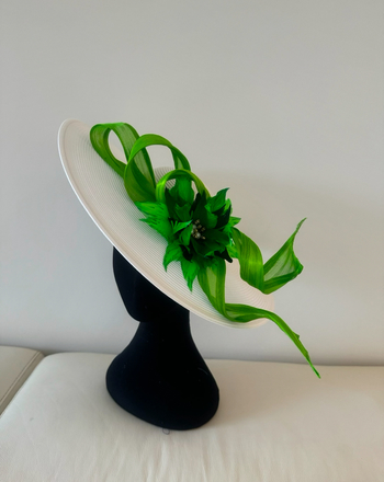 Stunning wide brim