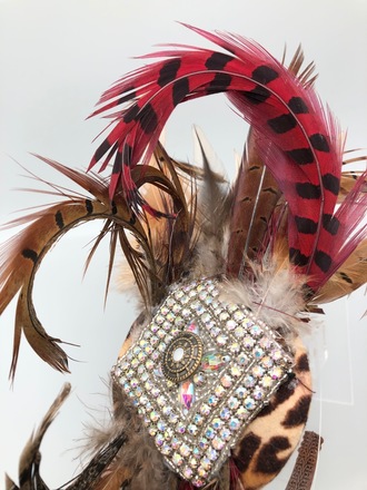 Feather Headpiece 