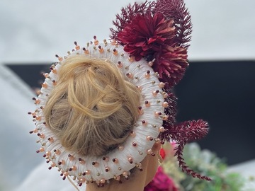 For Rent: Rear Facing - Burgundy and White Donut