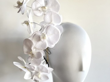 For Sale: White orchids 