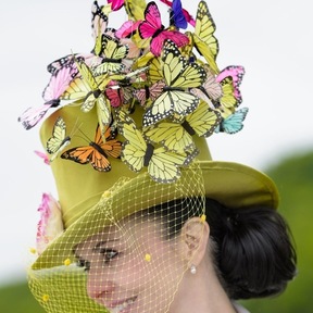 Tiffany Arey Millinery